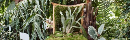 planta verde que crece de la silla de madera dentro del invernadero, follaje fresco y pancarta de horticultura