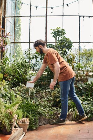 handsome and bearded gardener in casual attire holding plastic tag near plants in greenhouse