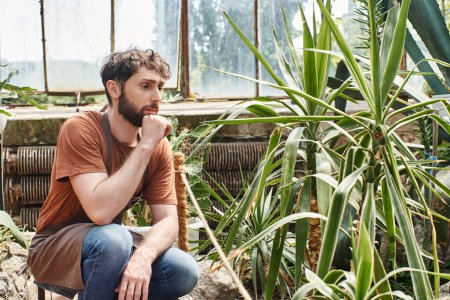 handsome and bearded gardener in apron checking leaves of plant in greenhouse, green thumb