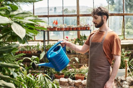 handsome and bearded gardener in apron watering green plants in greenhouse, green thumb
