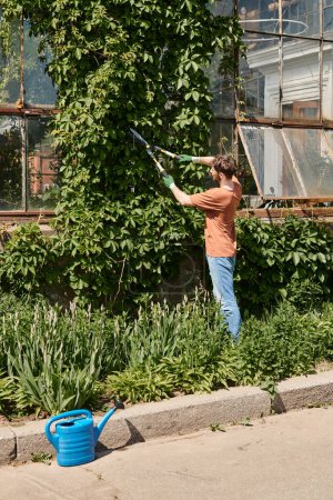 bearded gardener in gloves and apron cutting twigs on green tree with big gardening scissors