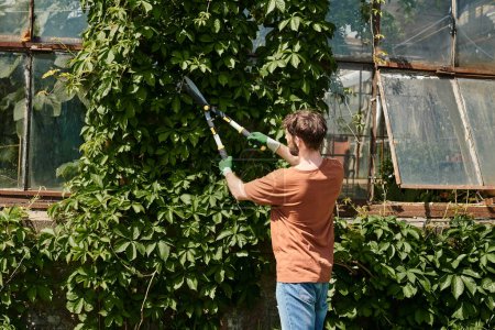 bearded gardener in gloves and t-shirt cutting twigs on green tree with big gardening scissors