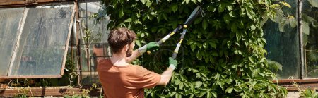 bearded gardener in gloves cutting twigs on green tree with big gardening scissors, banner