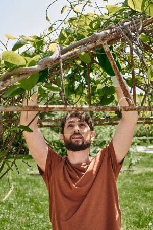 handsome and bearded gardener examining branches of green tree while working outdoors