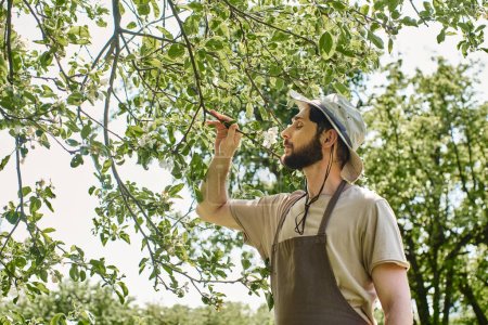 jardinero barbudo en sombrero de sol y delantal de lino examinar las hojas verdes del árbol mientras se trabaja al aire libre