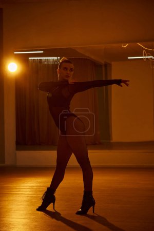 A captivating dancer in a black leotard and fishnet tights gracefully moves against the back light