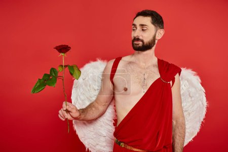 nachdenklicher bärtiger Mann, der als Amor gekleidet auf Rose auf Rot schaut, Valentinstag Kostümparty