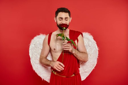 delighted man in cupid costume enjoying flavor of aromatic rose on red, Saint Valentines celebration