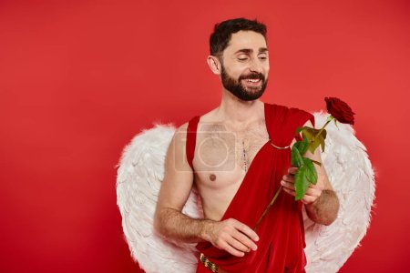 cheerful bearded cupid holding fresh rose on red backdrop, st valentines day costume party