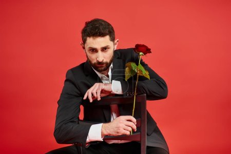 confident man in black suit sitting on chair with rose looking at camera on red, st valentines day