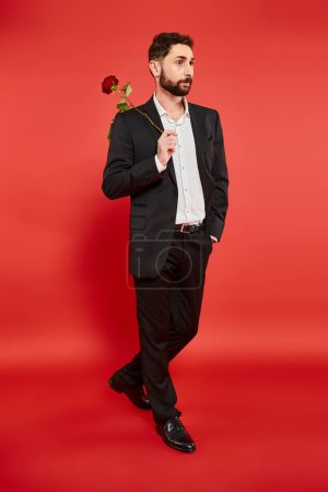 wealthy elegant man in black suit walking with rose and hand in pocket on red, st valentines day