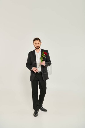 St Valentines concept, confident man in black elegant suit with red rose looking at camera on grey