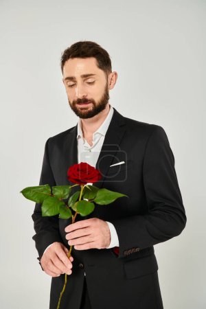 dreamy bearded man in black elegant suit holding red rose on grey, Saint Valentines day concept