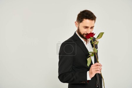 erfreut elegante Mann im schwarzen Anzug genießen Geschmack von roter Rose auf grau, Valentinstag Konzept