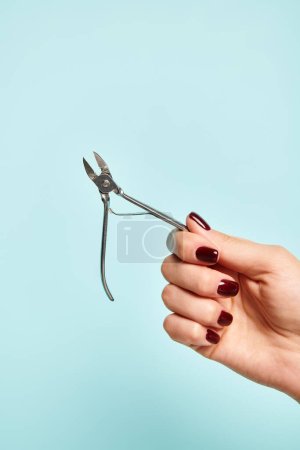object photo of nail clipper in hand of unknown young woman with nail polish on blue backdrop