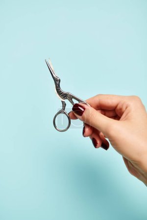 bird like scissors in hand of young unknown woman with nail polish on vibrant blue backdrop