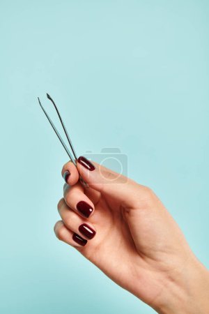 object photo of metal tweezers in hand of young unknown lady with nail polish on blue vivid backdrop