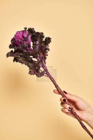 Photo for Object photo of kale leaf in hand of young unknown female with nail polish on pastel yellow backdrop - Royalty Free Image