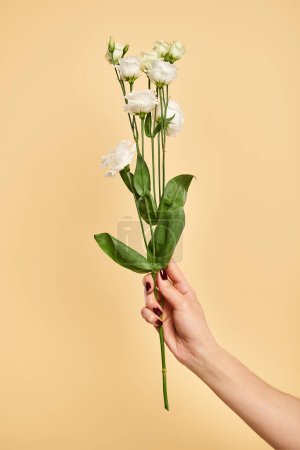 unknown woman with nail polish holding beautiful fresh eustoma flowers on pastel yellow backdrop