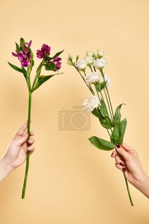 Objektfoto von frischem Eustoma und Lilienblüten in den Händen einer unbekannten Frau auf pastellfarbenem Hintergrund