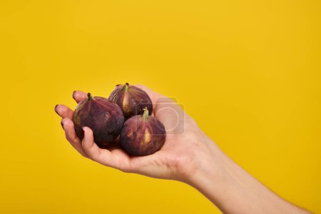 object photo of delicious organic figs in hand of young unknwon woman on vibrant yellow backdrop