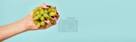 object photo of fresh green grapes in hand of young unknown woman on vibrant blue backdrop, banner