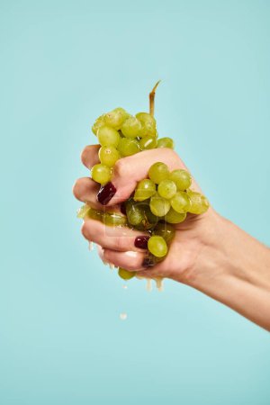 Foto de Modelo femenino desconocido con esmalte de uñas exprimiendo uvas verdes frescas en su mano sobre fondo azul - Imagen libre de derechos