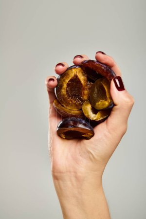 Objektfoto von frischen köstlichen saftigen Pflaumen in der Hand einer jungen unbekannten Frau vor grauem Hintergrund
