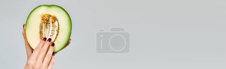 Téléchargez les photos : Femme inconnue avec vernis à ongles ramasser des graines de cantaloup frais sur fond gris, bannière - en image libre de droit