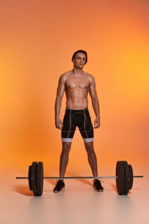 Photo for Alluring shirtless young man in black sport shorts exercising with barbell and looking at camera - Royalty Free Image