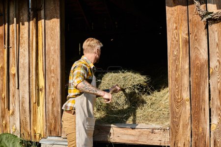 attractive dedicated farmer in casual attire using pitchfork while working with hay in village