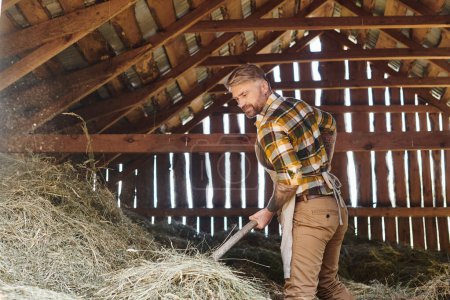 Photo for Cheerful good looking man with tattoos using pitchfork while working with hay while on farm - Royalty Free Image