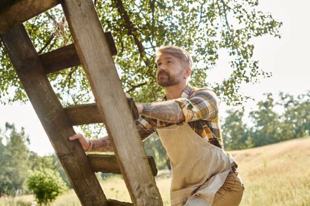 Photo for Good looking bearded man with tattoos in casual attire climbing up ladder while working on his farm - Royalty Free Image
