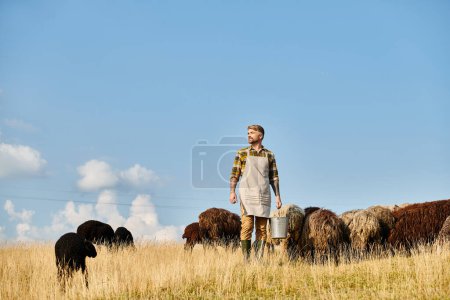 attractive hard working farmer with beard holding bucket with milk surrounded by sheeps and lambs