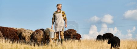 handsome hard working farmer with beard holding bucket with milk surrounded by sheeps, banner