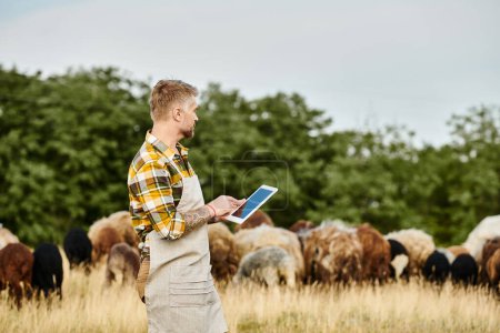atrayente granjero con barba y tatuajes usando tableta para analizar su ganado de ovejas y corderos