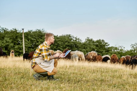 atractivo granjero con barba y tatuajes usando tableta para analizar su ganado de ovejas y corderos
