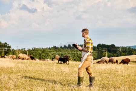 Téléchargez les photos : Beau fermier moderne avec barbe et tatouages à l'aide de presse-papiers pour analyser son bétail de moutons - en image libre de droit
