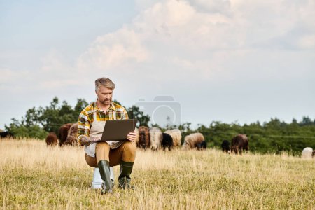 Foto de Guapo granjero moderno con barba sentado con portátil y analizando su ganado de corderos y ovejas - Imagen libre de derechos