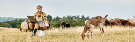 Téléchargez les photos : Agriculteur moderne avec barbe assis avec ordinateur portable et l'analyse de son bétail de chèvres et de moutons, bannière - en image libre de droit