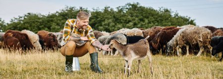 bel homme joyeux avec des tatouages assis et atteignant drôle de chèvre mignon dans le champ, agriculteur moderne, bannière