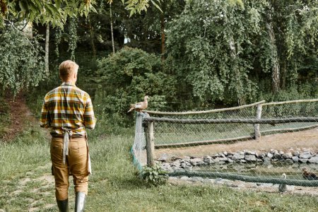 vue arrière de l'agriculteur moderne en tenue décontractée posant à côté de la volière avec des oies tandis que dans le village