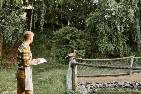 Attraktiver bärtiger Bauer mit Tätowierungen in Freizeitkleidung analysiert Voliere mit Gänsen per Klemmbrett