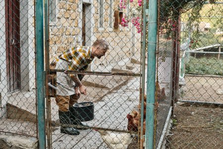 Téléchargez les photos : Attrayant homme travailleur avec des tatouages nourrir les poulets dans leur volière tandis que sur sa ferme - en image libre de droit