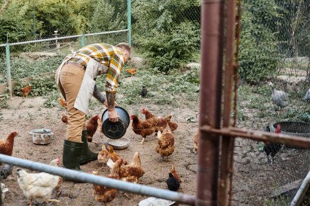attraktiver fleißiger Mann mit Tätowierungen, der Hühner in ihrer Voliere füttert, während er auf seinem Bauernhof lebt