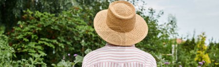 back view of mature woman in straw hat posing in her lively garden while working there, banner