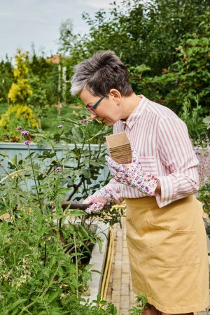 Téléchargez les photos : Attrayant joyeux mature femme avec des lunettes et des gants à l'aide de matériel de jardinage sur ses fleurs - en image libre de droit