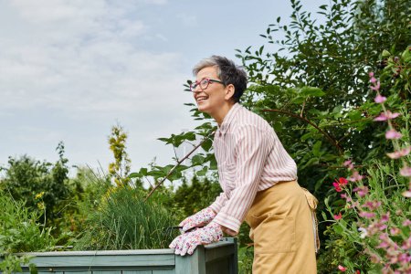 attrayant joyeux mature femme en tenue décontractée avec des lunettes de travail dans son jardin avec un lit de plantation