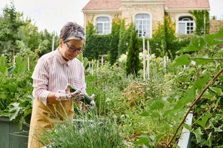 attraktive fröhliche reife Frau in lässiger Kleidung mit Gläsern, die frische Zucchini in ihrem Garten halten