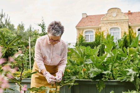Téléchargez les photos : Séduisante femme mûre heureuse avec des lunettes de travail dans son jardin vert vif et souriant joyeusement - en image libre de droit
